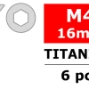 Team Corally Itanium Screws M4 X 16mm Hex Flat Head (6)