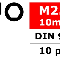 Team Corally Steel Screws M2.5 X 10mm Hex Socket Head (10)