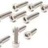 EuroRC Socket Head M2x14 RST Screw (10)